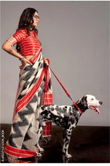 Soft Handwoven Mal Spun Contrast Print saree
