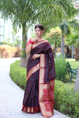 Raw Silk saree with Pochampali ikkat Saree