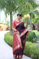 Raw Silk saree with Pochampali ikkat Saree