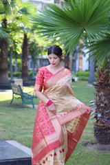 Raw Silk saree with Pochampali ikkat Saree