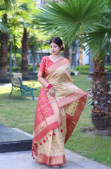 Raw Silk saree with Pochampali ikkat Saree