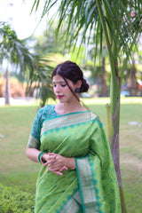 Raw Silk saree with Pochampali ikkat Saree