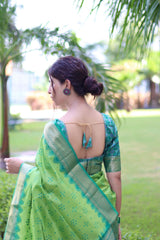 Raw Silk saree with Pochampali ikkat Saree