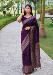 Soft Ikkat Cotton Saree with Traditional Weaving Pattern