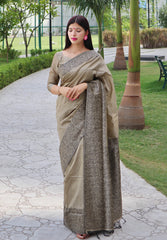 Soft Ikkat Cotton Saree with Traditional Weaving Pattern