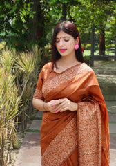 Soft Ikkat Cotton Saree with Traditional Weaving Pattern